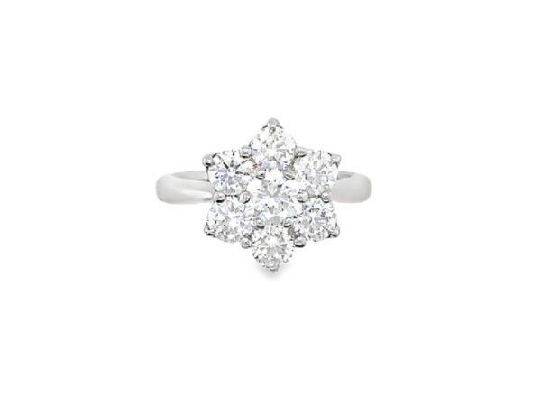White Gold Brilliant Cut Diamond Cluster Ring