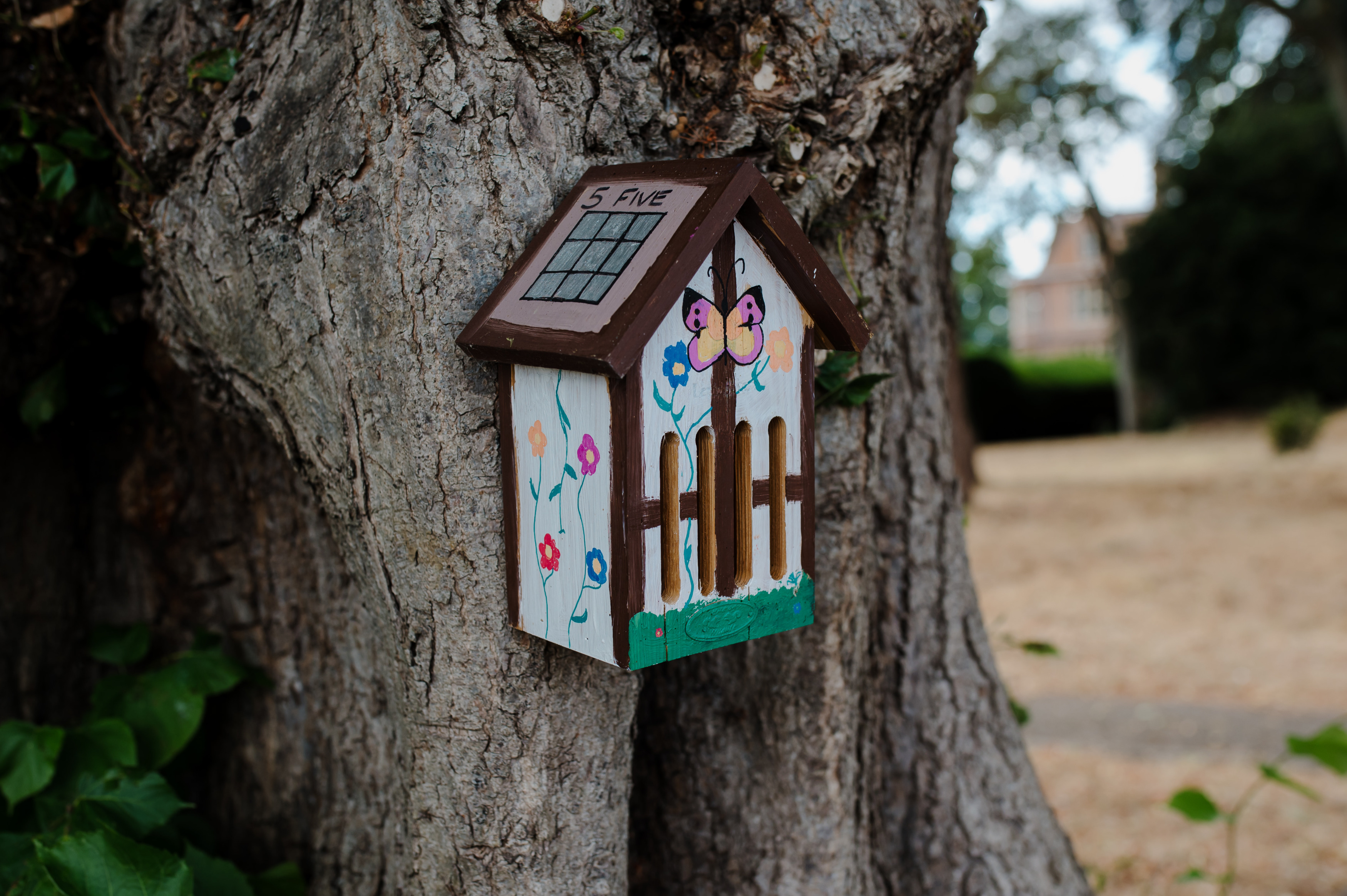 Horwood House's ‘Butterfly Resort’ spreads its wings - Destination Milton Keynes