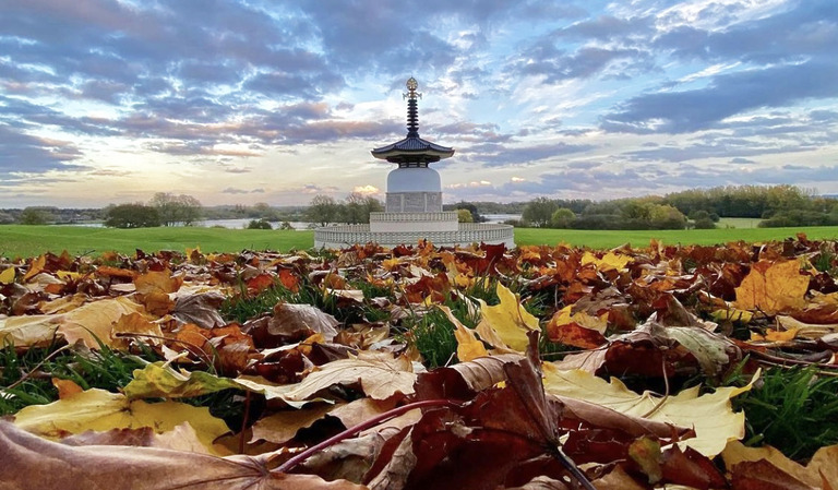Autumn Adventures in Milton Keynes