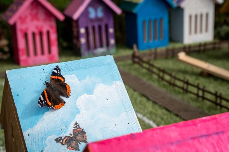 Horwood House launches UK’s first-ever ‘Butterfly Resort’