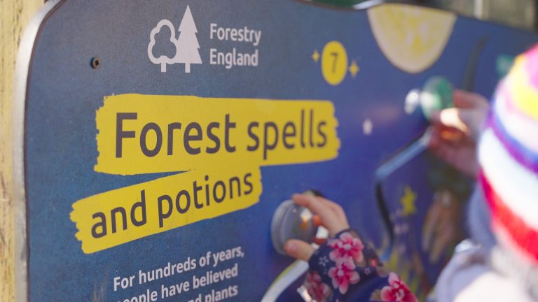 Salcey Forest launches magical Room on the Broom trail