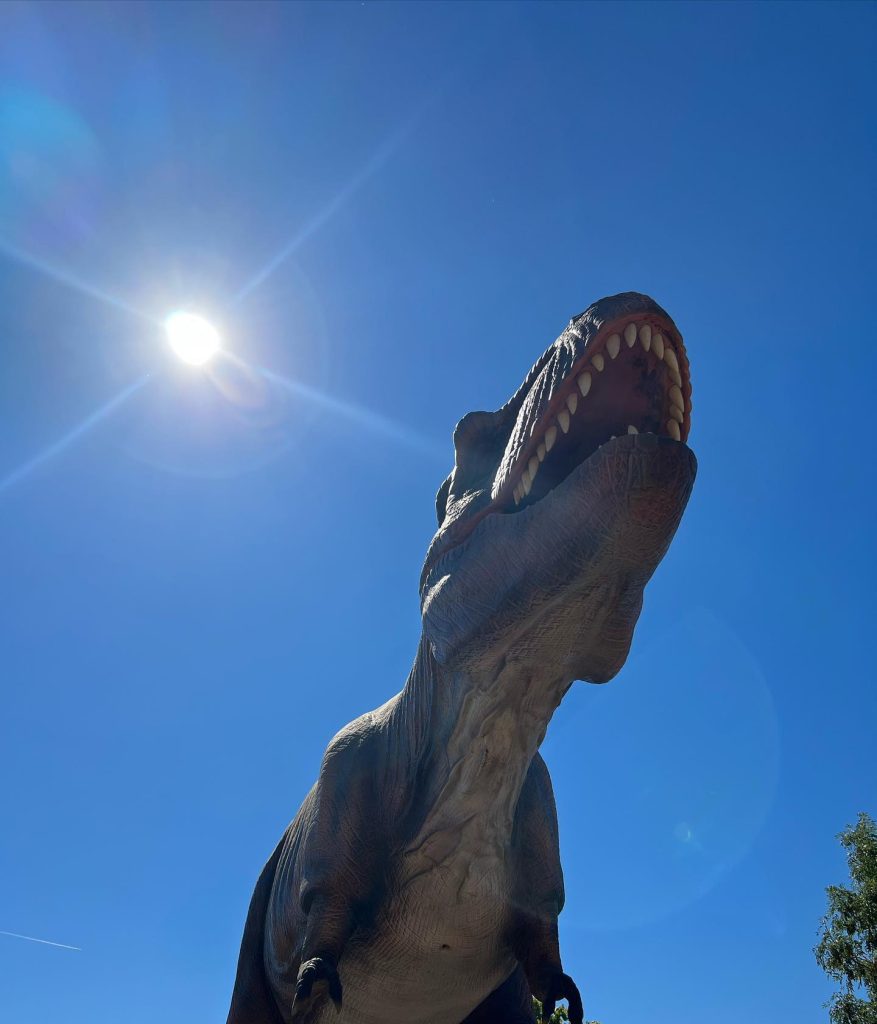 Dinosaur Valley