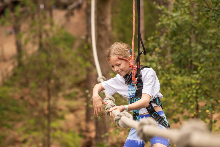 SAVE 15% at Go Ape Salcey Forest