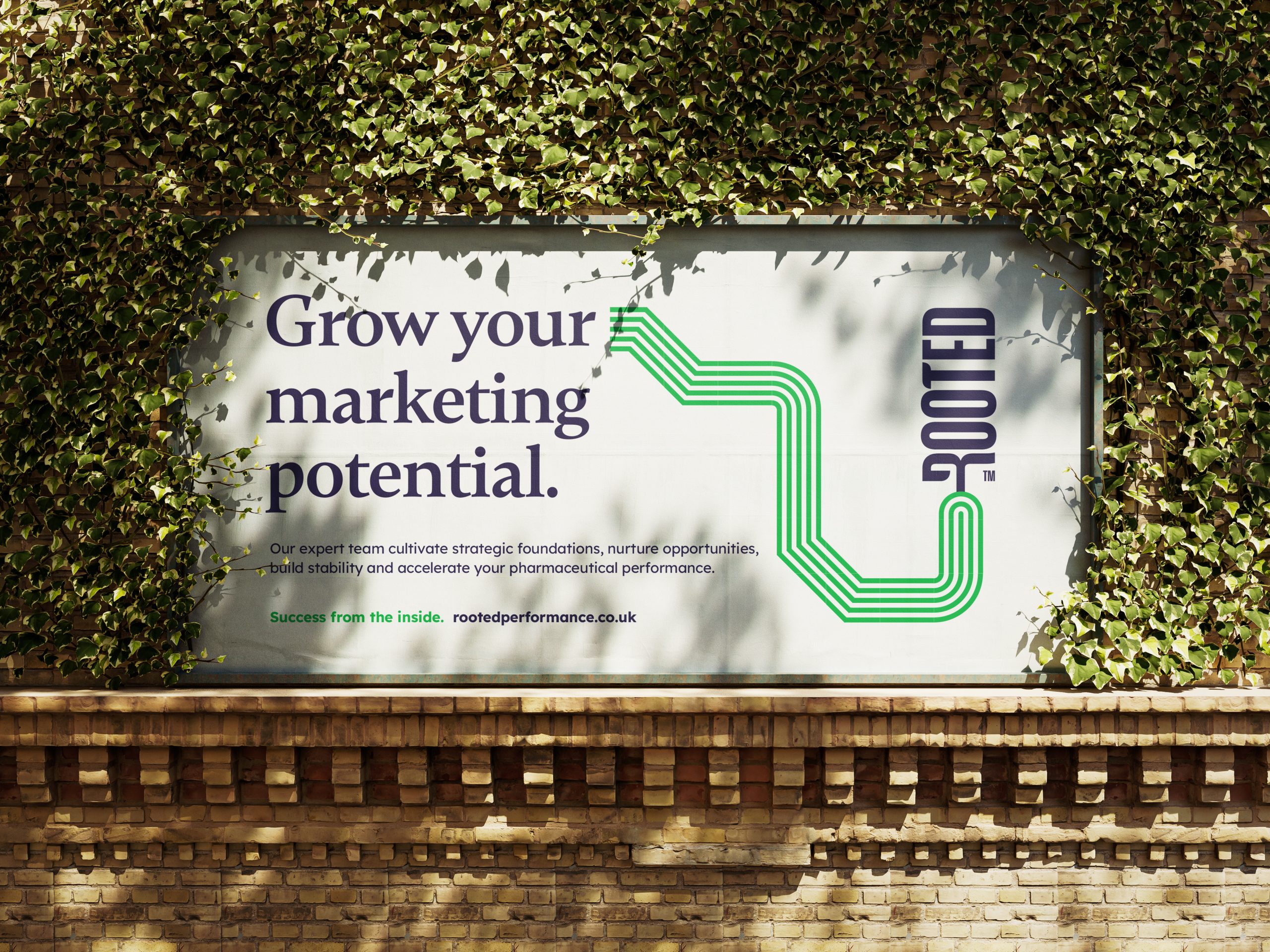 A Rooted brand advertisement in a park, with messaging about building strong client partnerships for growth.
