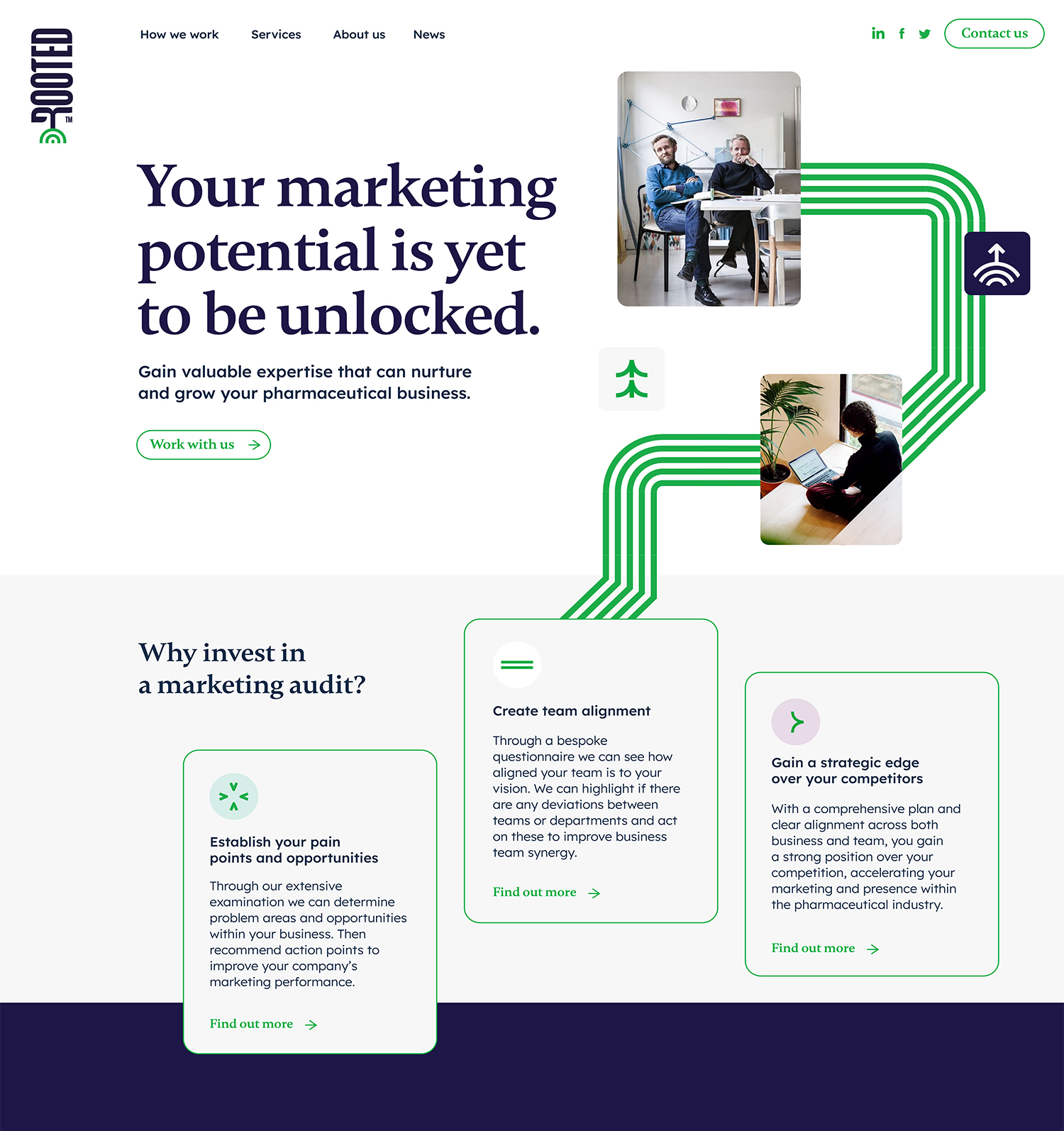The homepage design for Rooted, showcasing their strategic marketing services and unique "spreading roots" brand graphic.