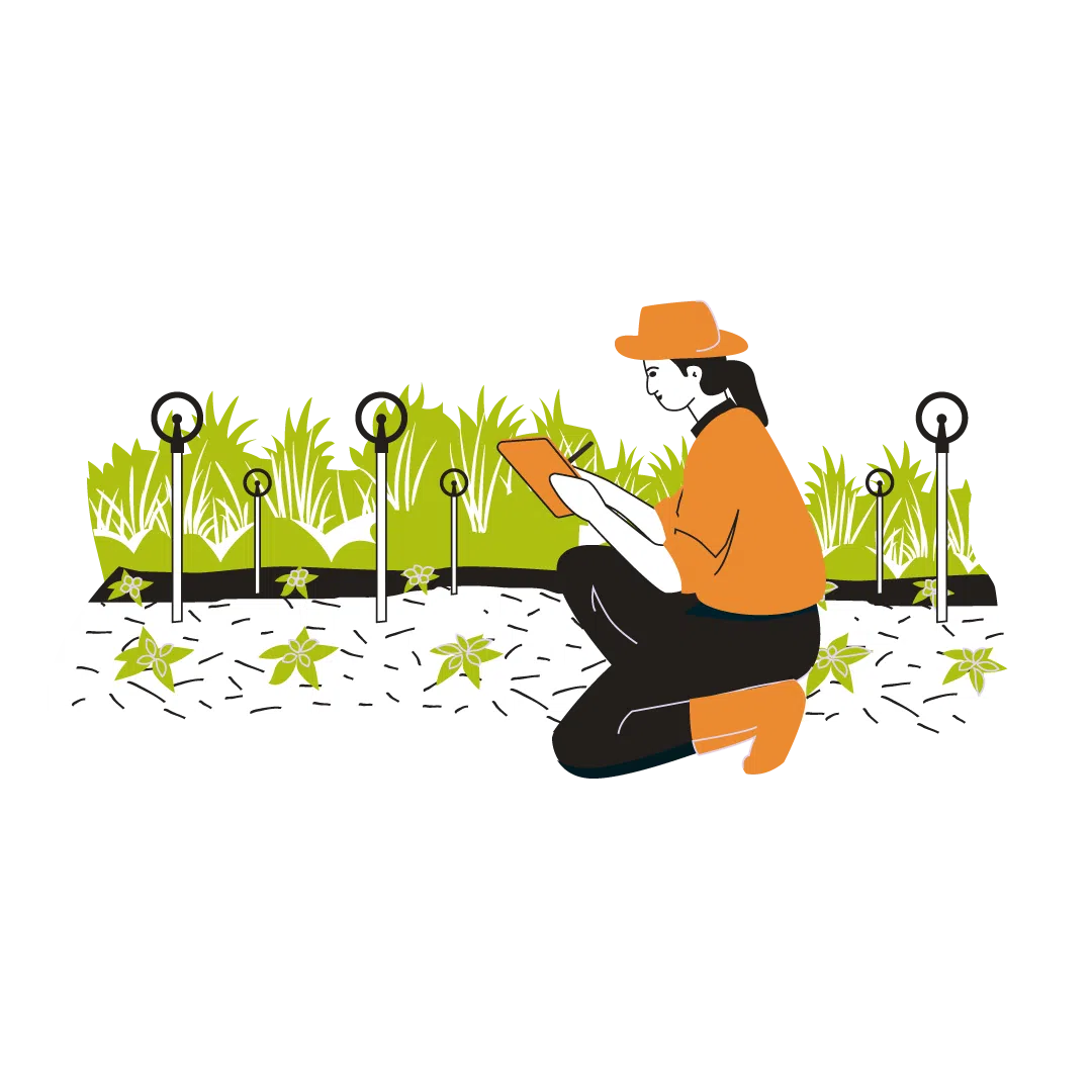 Woodfines illustration of person working outdoors in a garden or field