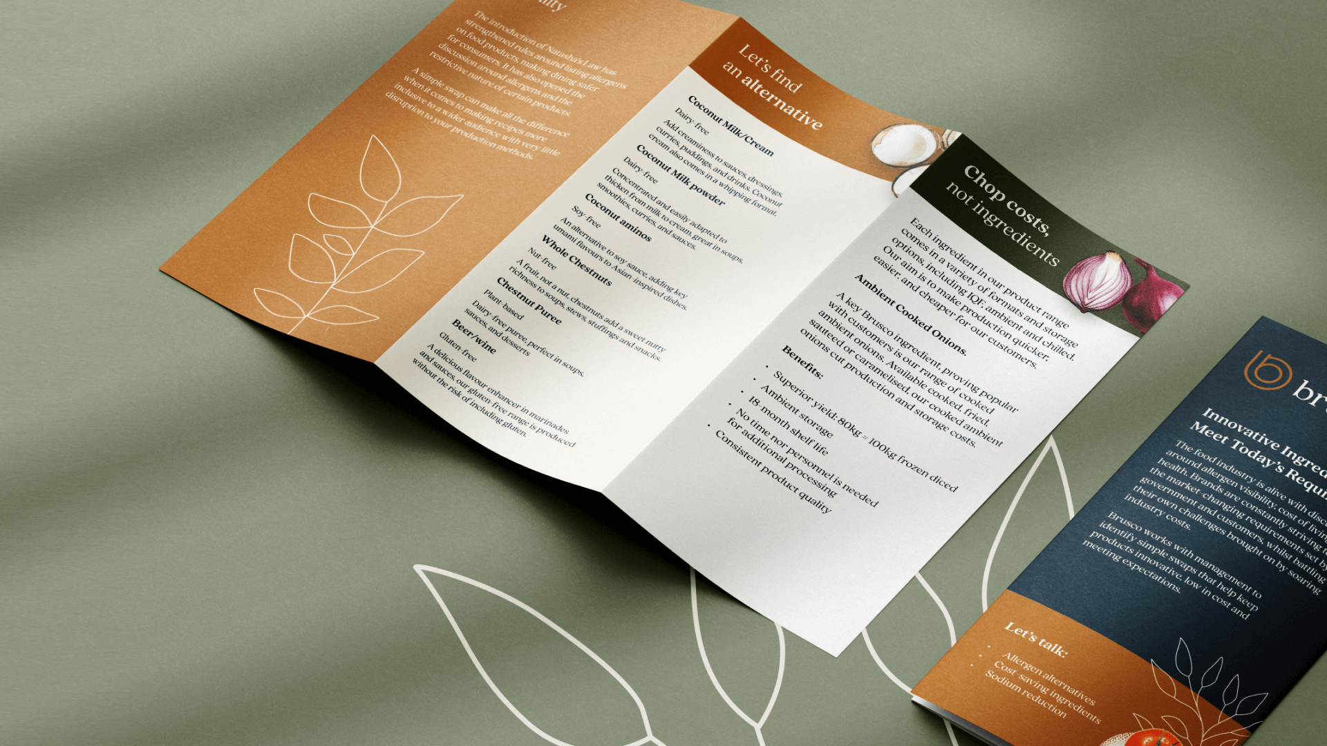 Brusco trifold leaflet displaying product information and ingredient alternatives with clean, modern design.