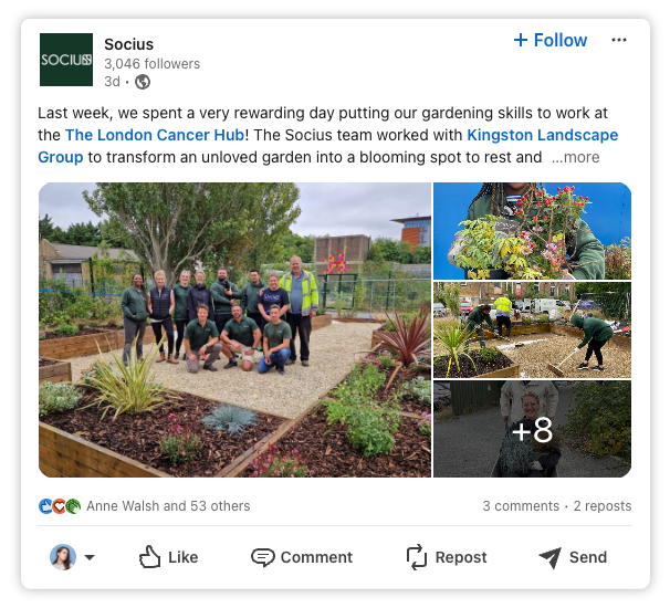 Socius team volunteering to create a garden space at The London Cancer Hub.