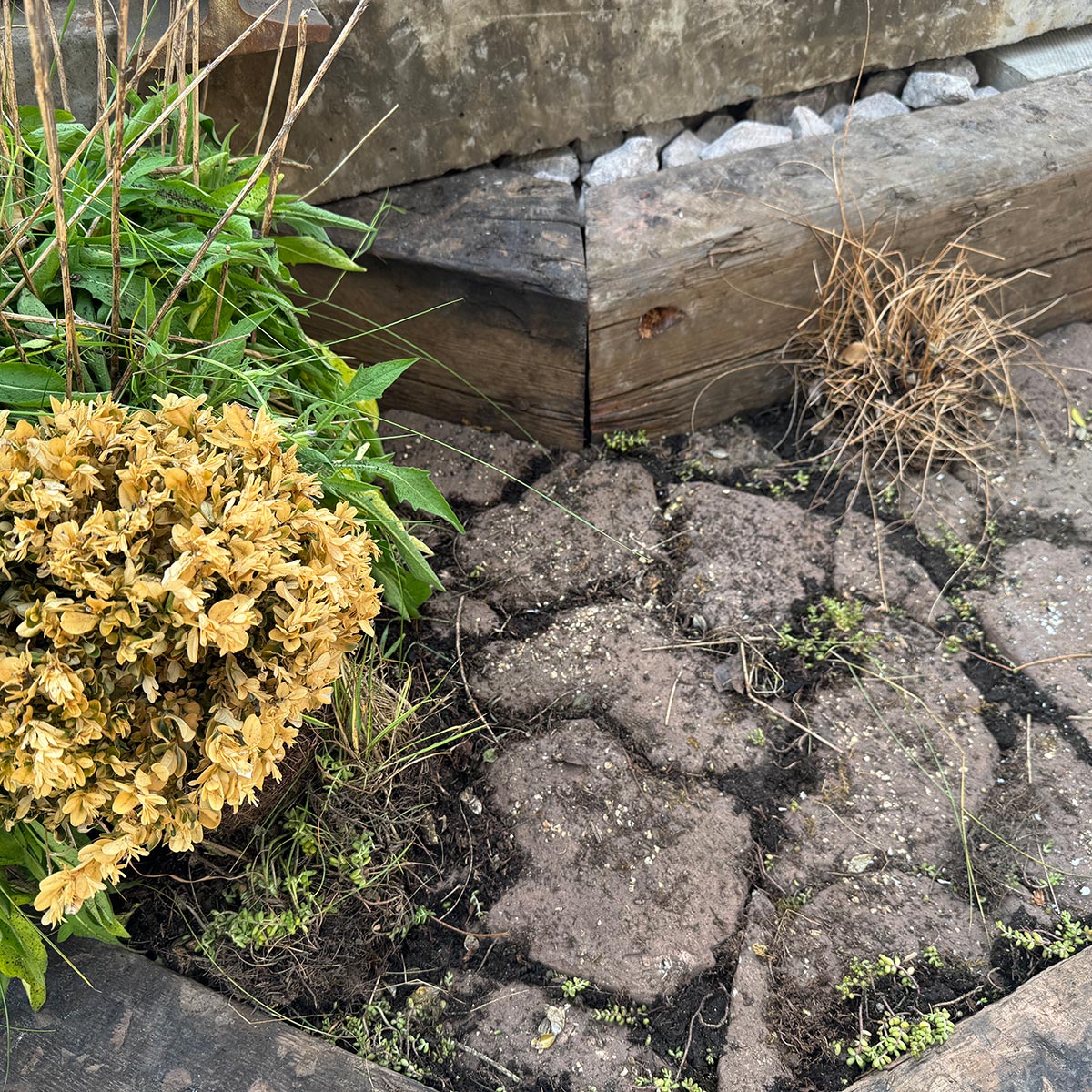 Summer Rail Garden Details