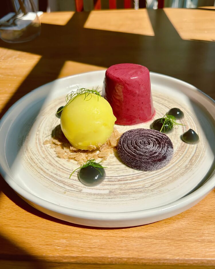Blackcurrant pannacotta, blackcurrant pate de fruit, liquorice gel, lemon sorbet